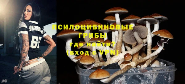 хмурый Армянск
