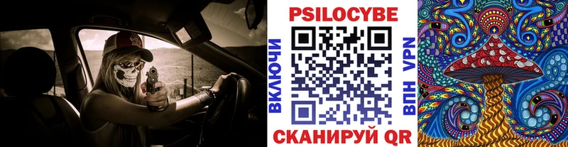 Псилоцибиновые грибы Cubensis  Пугачёв 